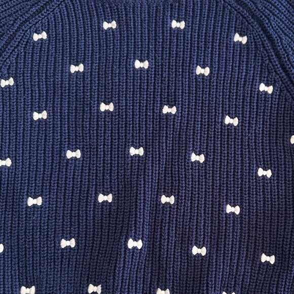 Coquette Girl Crop Embroidered Bow Sweater - Picture 3 of 9